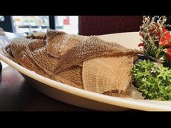 -九鼎轩脆毛肚火锅(三钢里店)