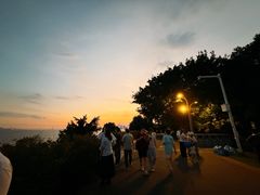 -深圳湾公园(南山区)