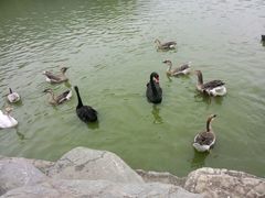 -西安秦岭野生动物园