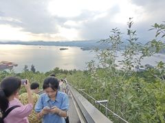 -千岛湖天屿景区