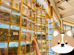 -猫的天空之城概念书店(北戴河蔚蓝海岸店)