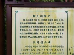 -帽儿山国家森林公园