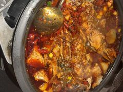 -探鱼·鲜青椒爽麻烤鱼(领展购物广场店)