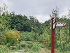-天河潭旅游度假区