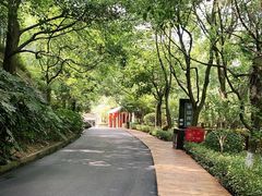 -长谷洞天