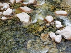 -青峰峡国家森林公园