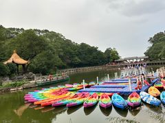 -广州市帽峰山景区