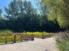 -石家庄市动物园