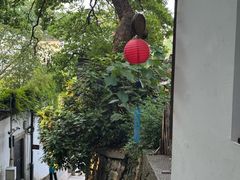 -吴山景区
