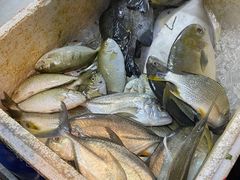 -牛排王糟粕醋火锅(海甸分店)