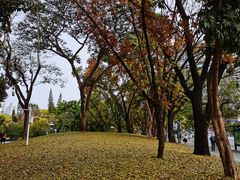 -荔枝公园(福田区)