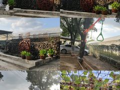 -海堤葡萄园中小学生研学基地