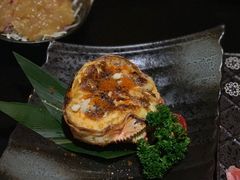 -春草居酒屋·晴子の店