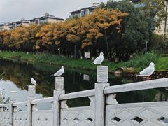 -怡得观滇餐厅·地道昆明菜·1996(海埂大坝店)