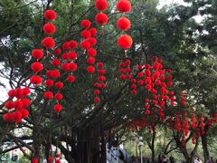 -人民公园(罗湖区)