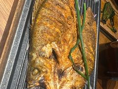 香酥烤鱼-毡房姑娘·新疆菜·烧烤