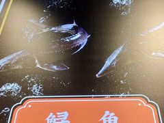 -蛙一刀·麻椒鱼火锅(金仙桥店)