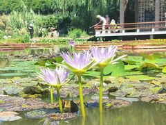 -国家植物园南园