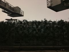 -WFC会仙楼观景台
