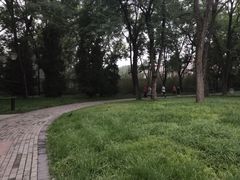 -玲珑塔公园