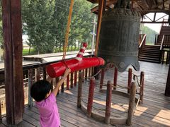 -呀路古热带植物园