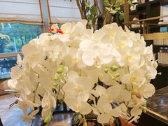-南堂馆·新川菜(天府三街店)