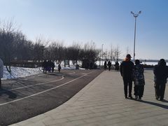 -丁香湖公园