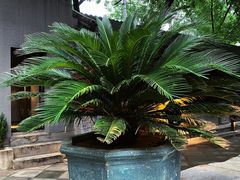 -嵩祝寺及智珠寺