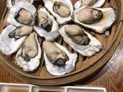北海道生蚝原味蒸-新海渔港·胶东海鲜家常菜·家宴(奥体中心店)