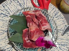-杨小佳·齐齐哈尔烤肉·烤串(广州店)