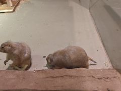 -正佳雨林生态植物园