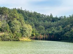 -广州白江湖森林公园