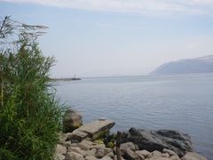-才村湿地公园