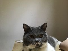 -小时光咖啡馆(开森度假森林店)