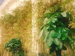 -农轩·醉黄冈