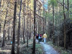 -上海海湾国家森林公园