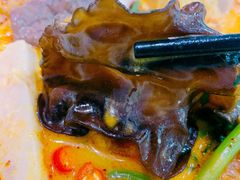 木耳-鑫龙福麻辣烫(尚德大厦店)