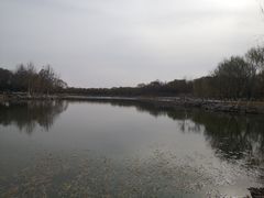 -大兴滨河森林公园