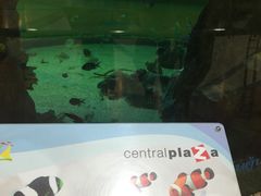 -尚泰清迈机场购物中心