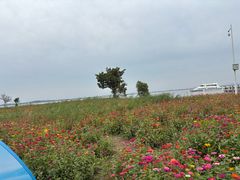 -七的湖·晚芳亭·阳澄湖农家菜·大闸蟹(莲花岛店)