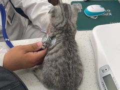 -心仪动物医院·牙专科·肿瘤·心脏科(西客站院)