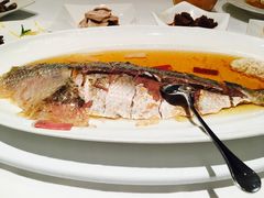 清蒸鲥鱼-福1039(愚园路店)
