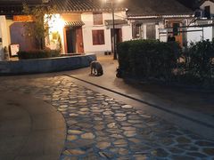 -太阳岛度假酒店