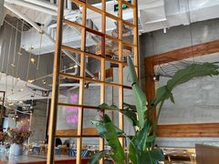 -The Rug Cafe(王府中环店)