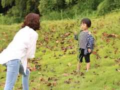 -铁山坪森林公园