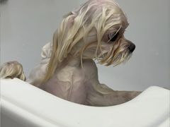 -FAELING PETS美天灵宠物(富力广场店)
