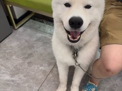 -瑞鹏宠物医院·骨外科·心肾科·肿瘤科(九亭店)