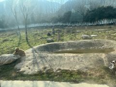 -西安秦岭野生动物园