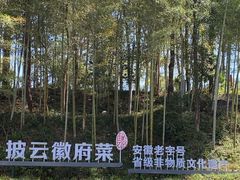 -披云山庄