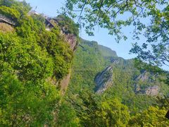 -龙湾潭国家森林公园